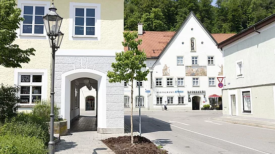 Neu gepflanzter Baum am Museumsparkplatz Neu gepflanzter Baum am Museumsparkplatz